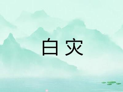 白灾
