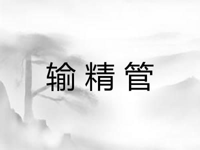 输精管
