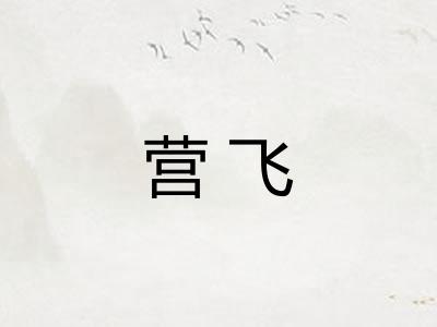 营飞