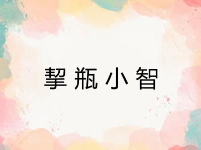挈瓶小智