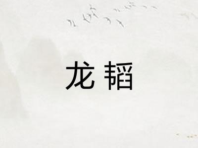 龙韬