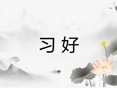 习好