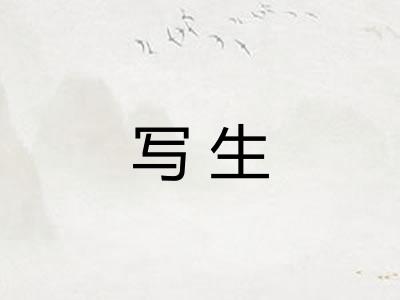 写生