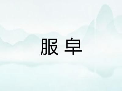 服皁