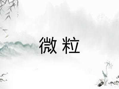 微粒