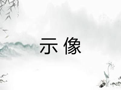 示像