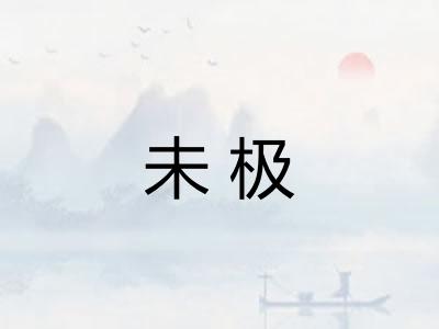未极
