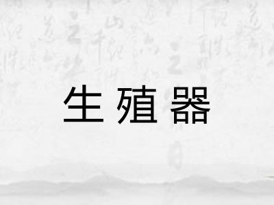 生殖器