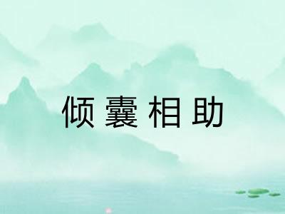倾囊相助