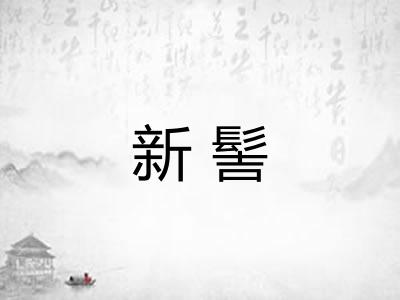 新髻