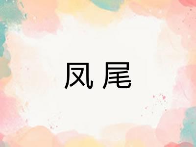 凤尾