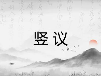 竖议