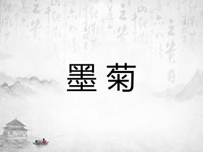 墨菊