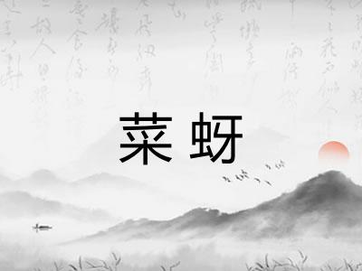 菜蚜
