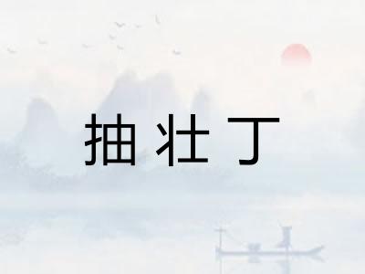 抽壮丁