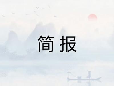 简报
