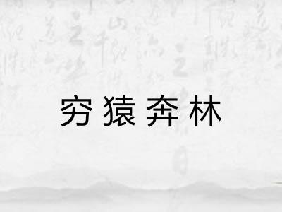 穷猿奔林