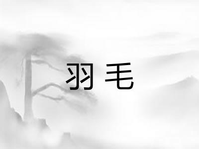 羽毛
