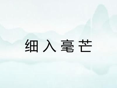 细入毫芒