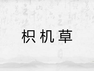 枳机草