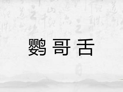 鹦哥舌