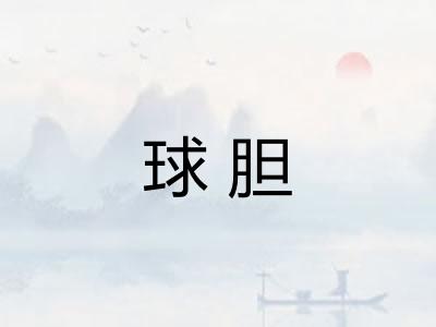 球胆