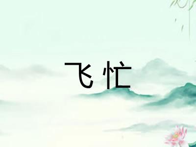 飞忙