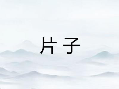 片子