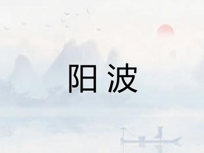 阳波