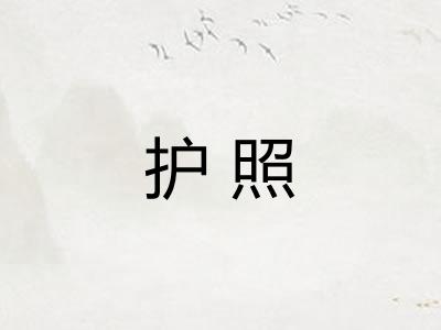 护照