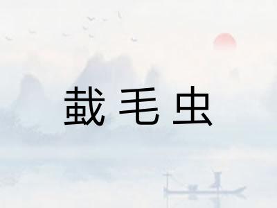 蛓毛虫