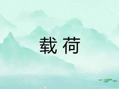 载荷