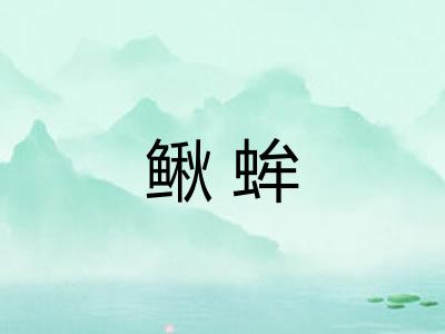 鳅蛑