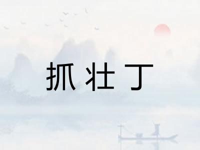 抓壮丁
