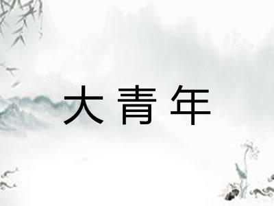 大青年