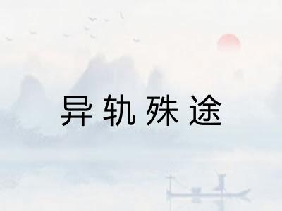 异轨殊途
