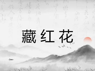 藏红花