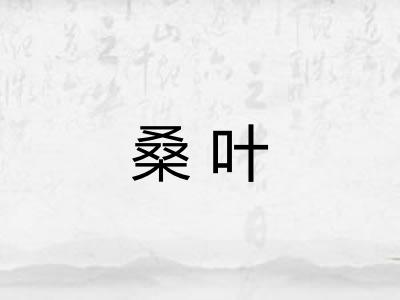 桑叶