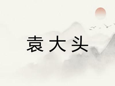 袁大头