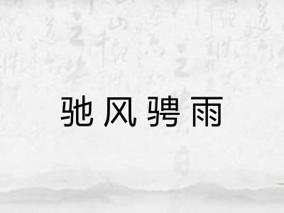 驰风骋雨