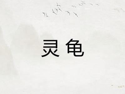 灵龟