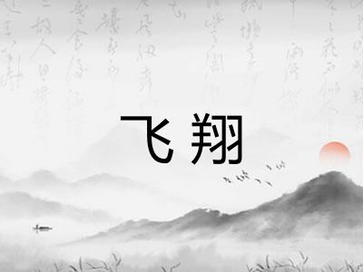 飞翔