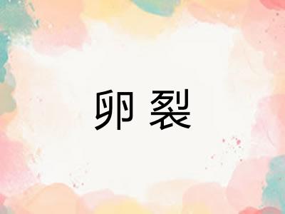 卵裂