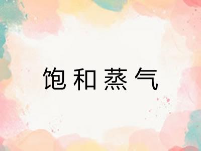 饱和蒸气