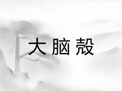 大脑殻