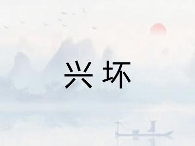 兴坏