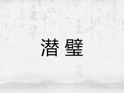潜璧
