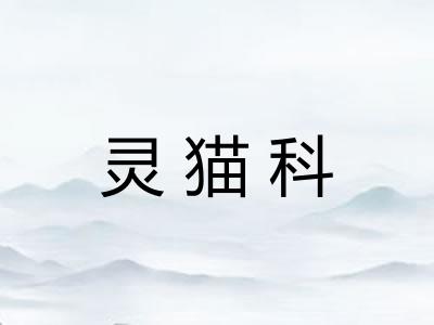 灵猫科