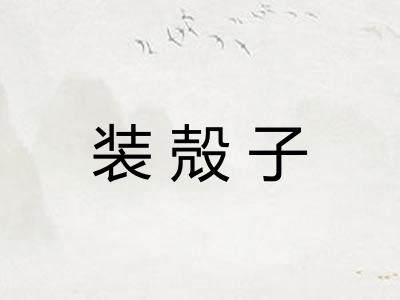 装殻子