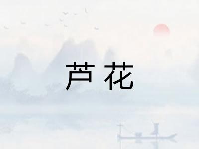 芦花